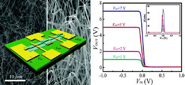 Logic gates constructed on CdS nanobelt field-effect transistors with ...