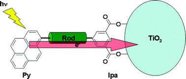 Calculations of interfacial interactions in pyrene-Ipa rod sensitized ...