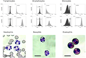 Introducing A New Method Section For Integrative Biology - Integrative ...