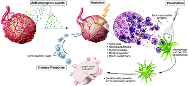 Combining radiation, immunotherapy, and antiangiogenesis agents in the ...