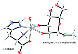 Oxidorhenium V Complexes With L Histidine And Pyranosides Dalton Transactions Rsc Publishing