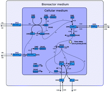 l carnitine pathway Long-Chain Acyl-Carnitines main image 0