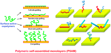 Polymeric self-assembled monolayers derived from surface-active ...