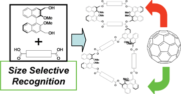 Structurally-variable, rigid and optically-active D2 and D3 macrocycles ...