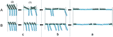 Chain length dependence of the helix orientation in Langmuir–Blodgett ...
