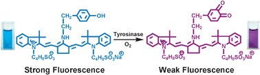 A near-infrared fluorescent probe for monitoring tyrosinase activity ...