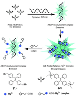 Label-free fluorescence detection of mercury(ii) and glutathione based on  Hg2+-DNA complexes stimulating aggregation-induced emission of a  tetraphenylethene derivative - Analyst (RSC Publishing)
