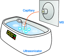Ultrasonication-assisted spray ionization mass spectrometry for on-line ...