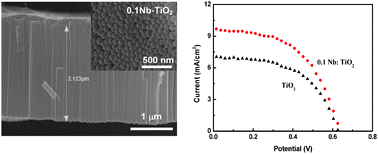 Nb doping of TiO2 nanotubes for an enhanced efficiency of dye ...