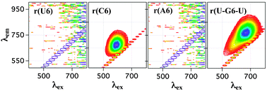 Stabilization Of Fluorescent Silver Clusters By Rna Homopolymers And Their Dna Analogs C G Versus A T U Dichotomy Chemical Communications Rsc Publishing