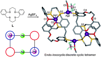 Anion Directed Supramolecular Silver I Complexes Of An O2s2 Macrocycle Cyclic Oligomer And 2 D Coordination Polymers Crystengcomm Rsc Publishing