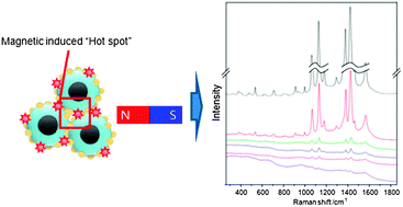 Magnetic field induced aggregation of nanoparticles for sensitive ...