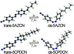 Molecular dynamics simulation study on the isomerization and molecular ...