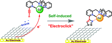 Self Induced Electroclick Immobilization Of A Copper Complex Onto Self Assembled Monolayers On A Gold Electrode Dalton Transactions Rsc Publishing