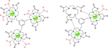 Synthesis Complexation And Nmr Relaxation Properties Of Gd3 Complexes Of Mes Do3a 3 Dalton Transactions Rsc Publishing