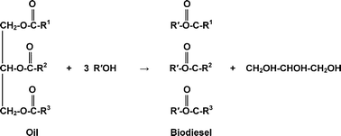 to vegetable oil biofuel process