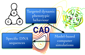 Computational design approaches and tools for synthetic biology 