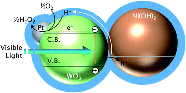 Visible light driven photocatalysts with oxidative energy storage ...