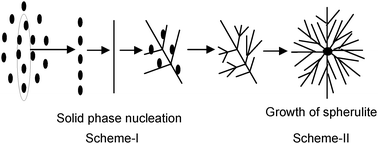 Growth Of Spherulitic Crystal Patterns In A Belousov Zhabotinski Type Reaction System New Journal Of Chemistry Rsc Publishing