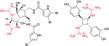 The Chemistry And Biology Of Organic Guanidine Derivatives Natural Product Reports Rsc Publishing