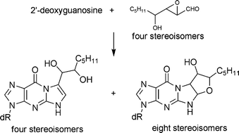 Synthesis Of The Four Stereoisomers Of 2 3 Epoxy 4 Hydroxynonanal And Their Reactivity With Deoxyguanosine Organic Biomolecular Chemistry Rsc Publishing
