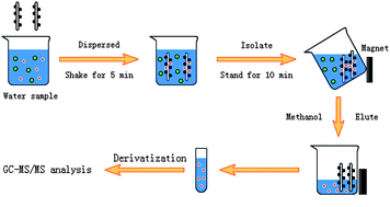 Determination Of Bisphenol A Bisphenol F And Their Diglycidyl Ethers In Environmental Water By Solid Phase Extraction Using Magnetic Multiwalled Carbon Nanotubes Followed By Gc Ms Ms Analytical Methods Rsc Publishing