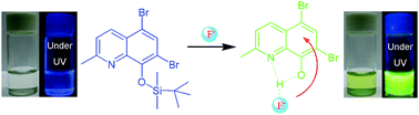 A “naked eye” and ratiometric fluorescent chemosensor for rapid ...