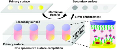 Competition-based transfer of carbohydrate expression information from ...