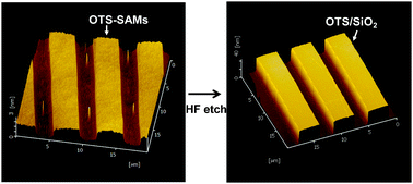 Contact area lithography and pattern transfer of self-assembled organic ...