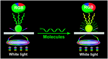Individually color-coded plasmonic nanoparticles for RGB analysis ...