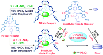 Dynamic Self Assembly Of Molecular Capsulesviasolvent - 