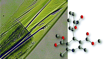 Fast crystallization of organic glass formers - Chemical Communications ...