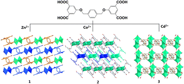 Structural diversity and properties of coordination polymers built from ...