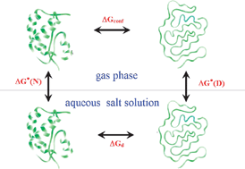 Contrasting The Denaturing Effect Of Guanidinium Chloride With The Stabilizing Effect Of Guanidinium Sulfate Physical Chemistry Chemical Physics Rsc Publishing