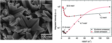 Zno case study image