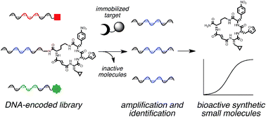 Small-molecule discovery from DNA-encoded chemical libraries - Chemical ...