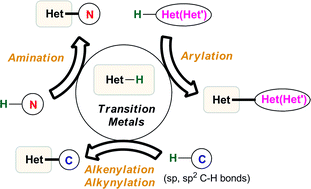 Recent Advances In The Transition Metal Catalyzed Twofold Oxidative C H Bond Activation Strategy For C C And C N Bond Formation Chemical Society Reviews Rsc Publishing