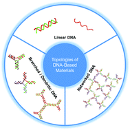 Engineering DNA-based functional materials - Chemical Society Reviews ...