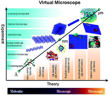 Exploring new strategies for cellulosic biofuels production - Energy ...