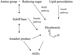 Naturally Occurring Inhibitors Against The Formation Of Advanced Glycation End Products Food Function Rsc Publishing