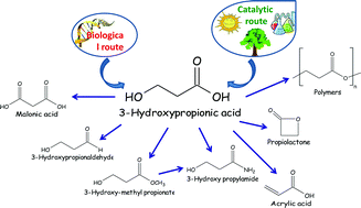 A Green Approach To Chemical Building Blocks The Case Of 3 Hydroxypropanoic Acid Green Chemistry Rsc Publishing