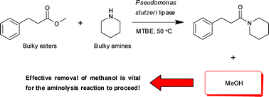 Pseudomonas stutzeri lipase: a useful biocatalyst for aminolysis reactions  - Green Chemistry (RSC Publishing)