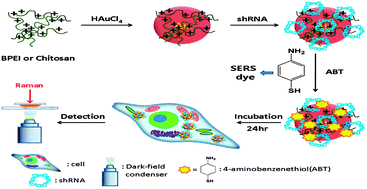 small hairpin rna