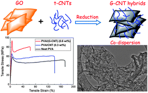 Facile Preparation Of Water Dispersible Graphene Sheets Stabilized By Acid Treated Multi Walled Carbon Nanotubes And Their Poly Vinyl Alcohol Composites Journal Of Materials Chemistry Rsc Publishing