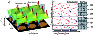 Multiplexing superparamagnetic beads driven by multi-frequency ratchets ...