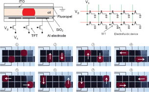 Toward active-matrix lab-on-a-chip: programmable electrofluidic control ...