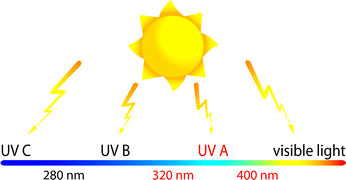 A review of UVA-mediated photosensitivity disorders - Photochemical ...