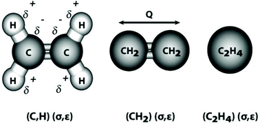 The role of the intermolecular potential on the dynamics of ethylene ...