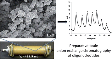 Buchmeiser metathesis polymerization 07 image