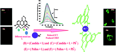 Xanthone based Pb2+ selective turn on fluorescent probe for living cell ...